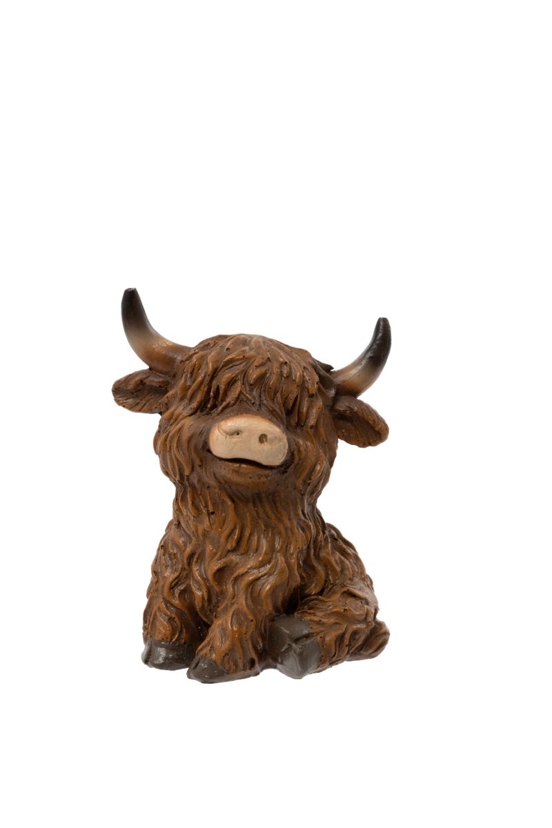 Mini Coo - RUTHERFORD & Co