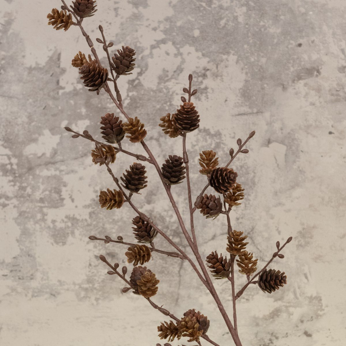 Mini Pine Cone Spray - RUTHERFORD & Co