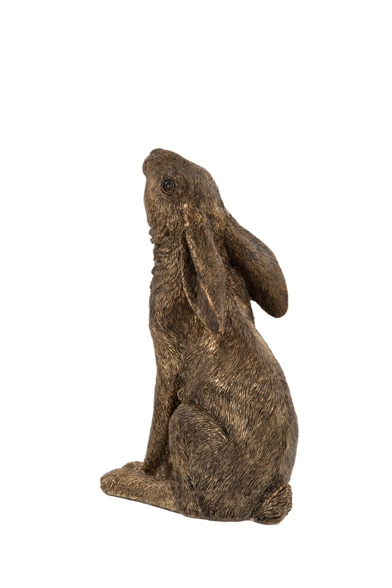 Moon Gazing Hare - RUTHERFORD & Co