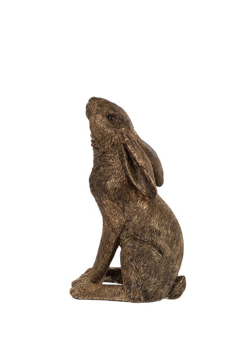 Moon Gazing Hare - RUTHERFORD & Co