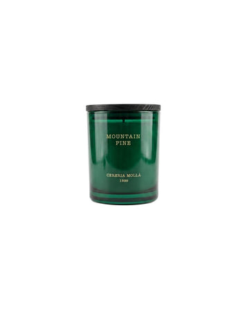 Mountain Pine Candle 230g - RUTHERFORD & Co