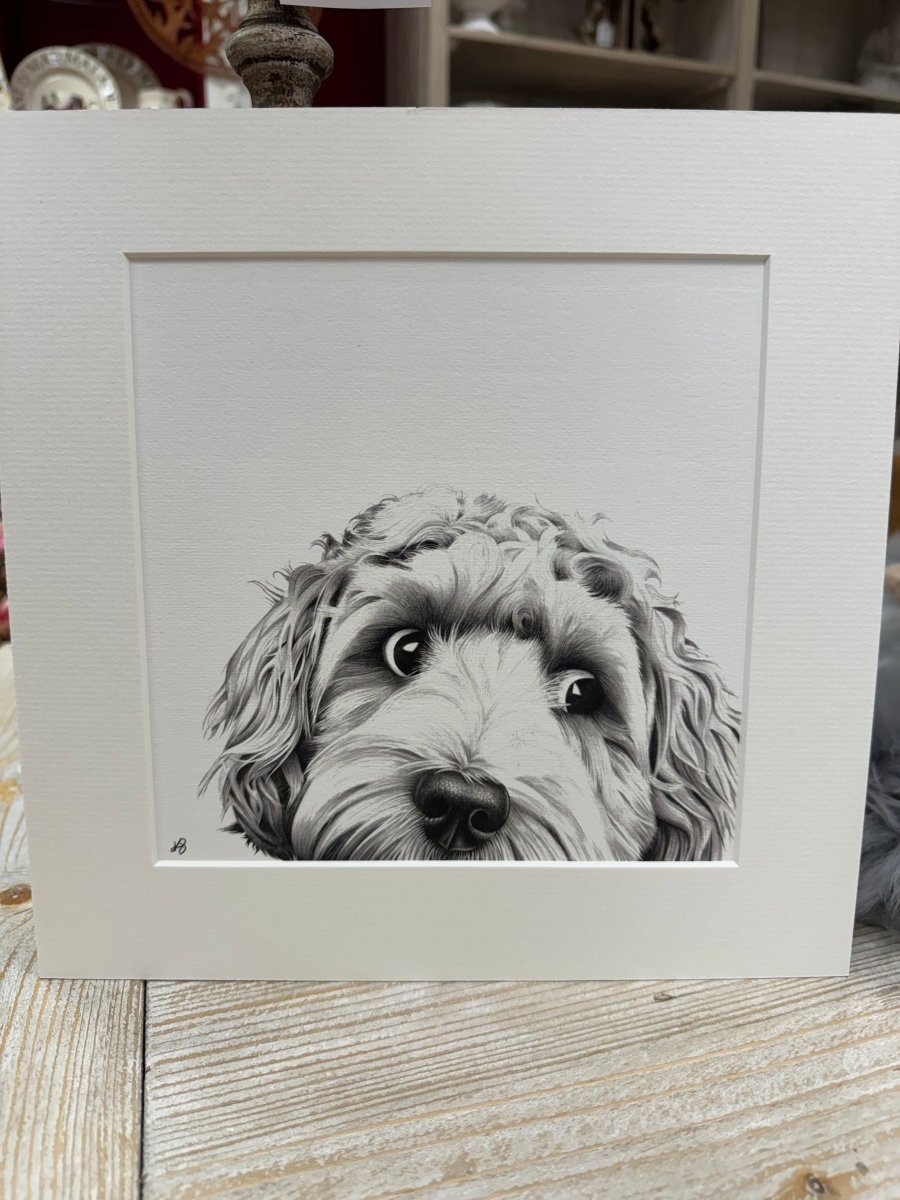 Mounted Print Ivory - Cockapoo - RUTHERFORD & Co