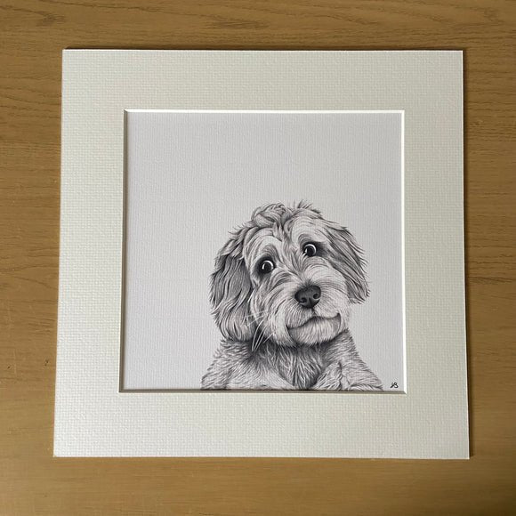 Mounted Print Ivory - Cooper Cockapoo - RUTHERFORD & Co