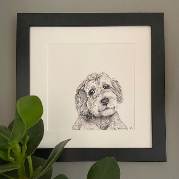 Mounted Print Ivory - Cooper Cockapoo - RUTHERFORD & Co
