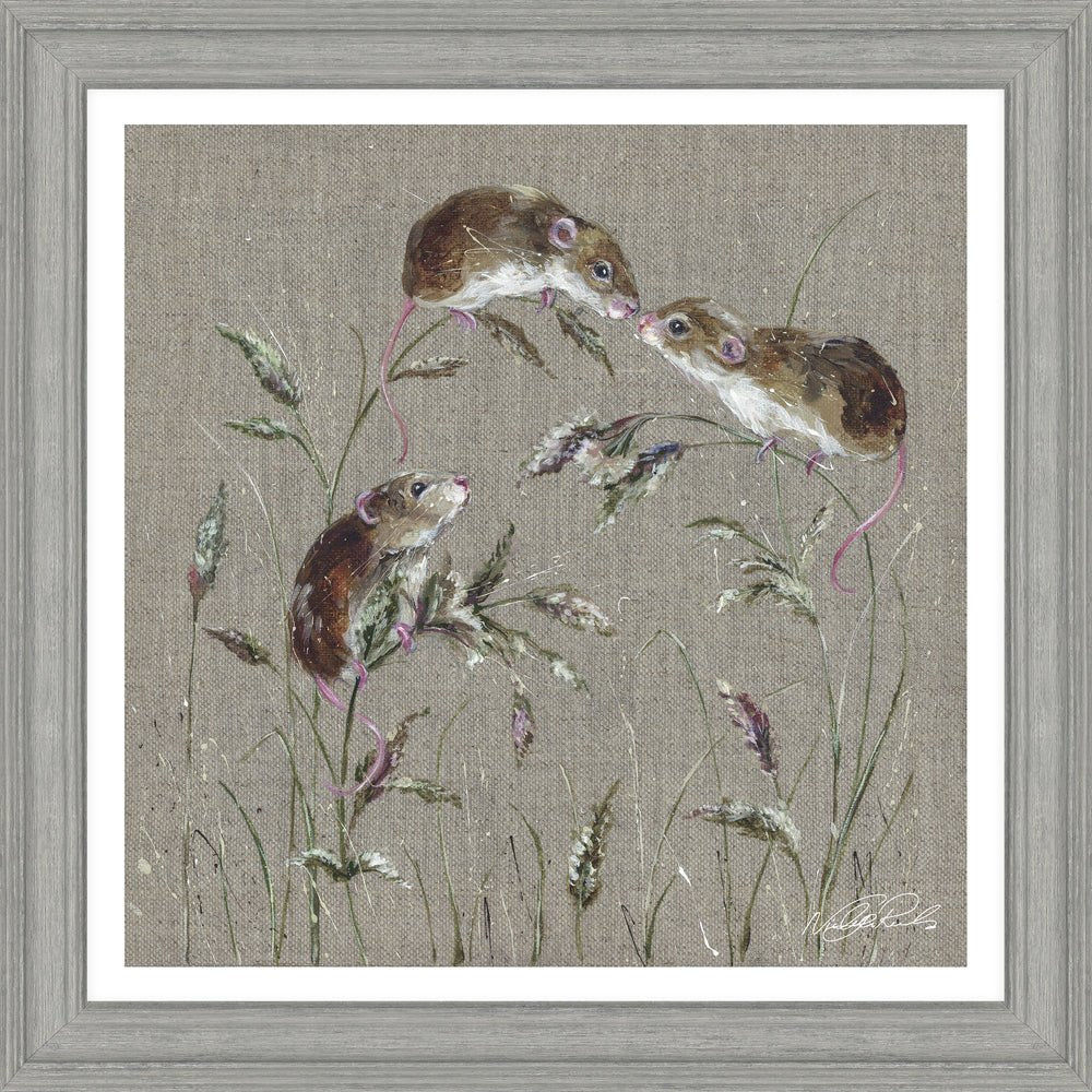 Mousing Around HF - CR116 - RUTHERFORD & Co