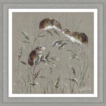 Mousing Around HF - CR116 - RUTHERFORD & Co