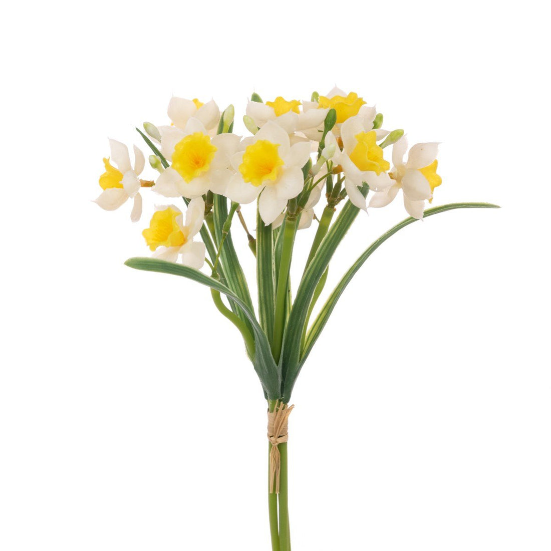 Narcissus Bouquet - RUTHERFORD & Co