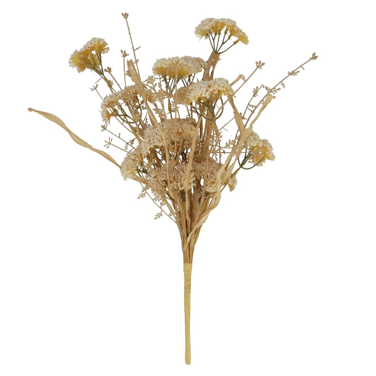 Natural Wild Achillea Bunch - RUTHERFORD & Co