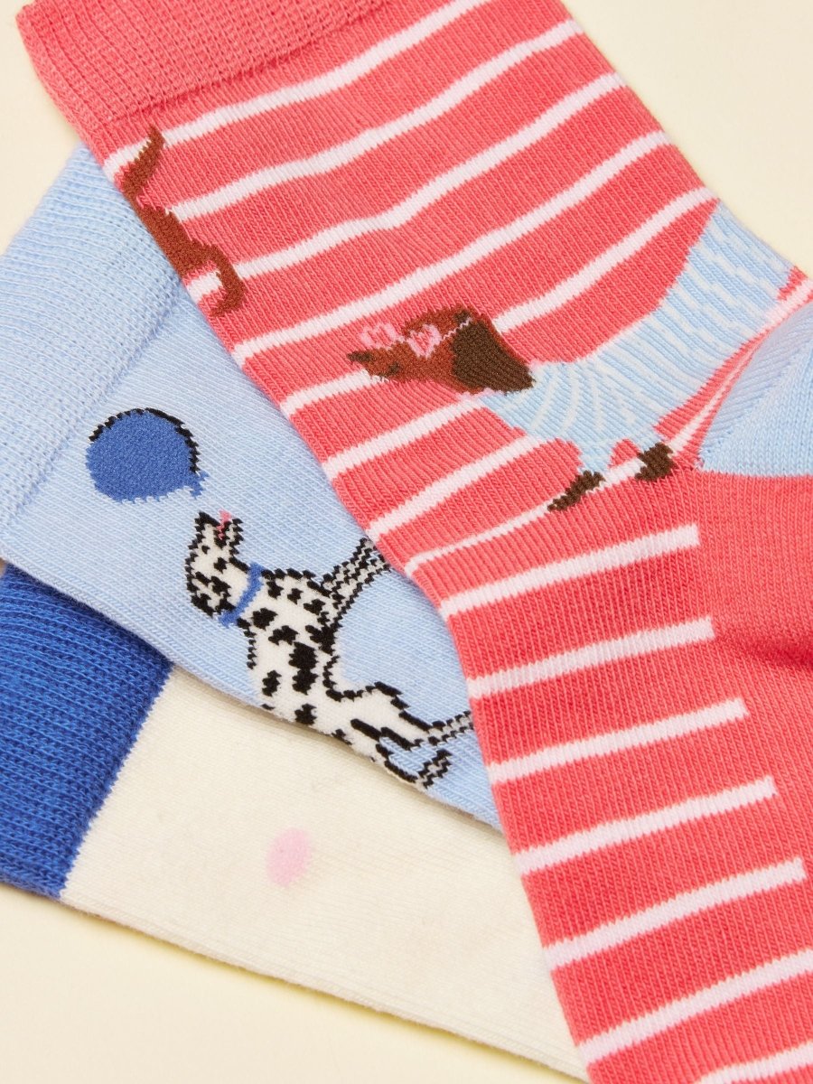 Neat Feet Blue/Pink 3 Pack Socks - RUTHERFORD & Co