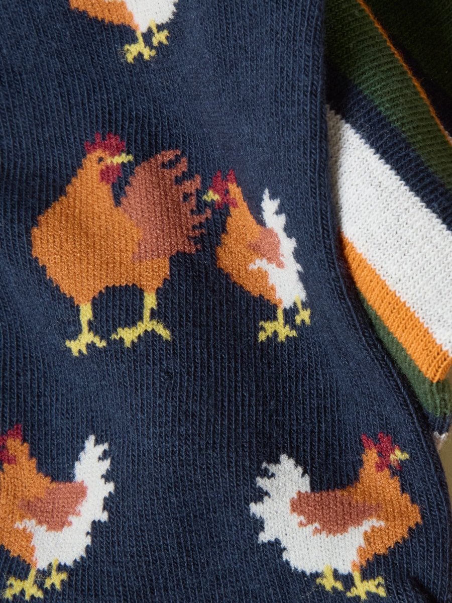 Neat Feet Orange/Navy 3 Pack Socks - RUTHERFORD & Co