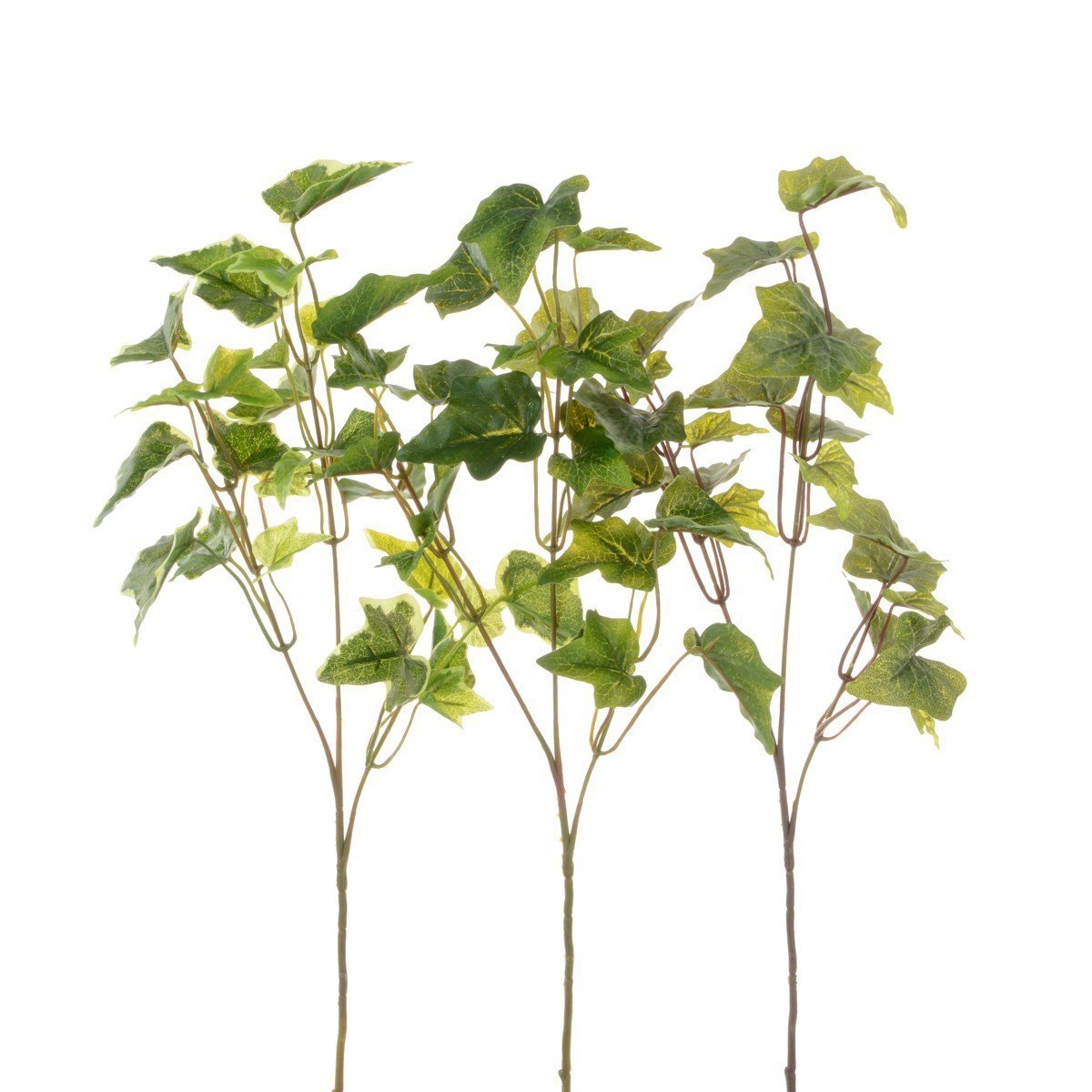 New Ivy Spray 55cm/Astd - RUTHERFORD & Co