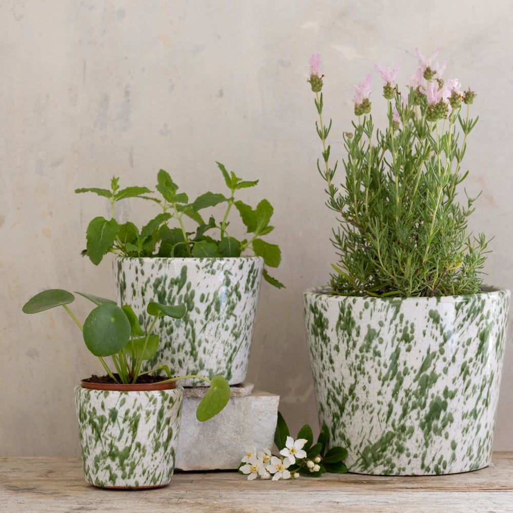 Old Style Dutch Pot Green Splatter - RUTHERFORD & Co