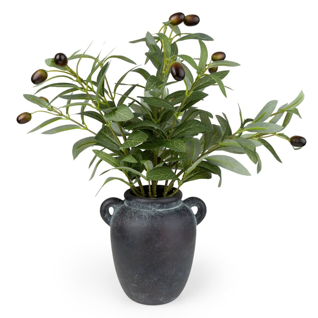 Olive Tree in Paper Mache Pot 40cm - RUTHERFORD & Co