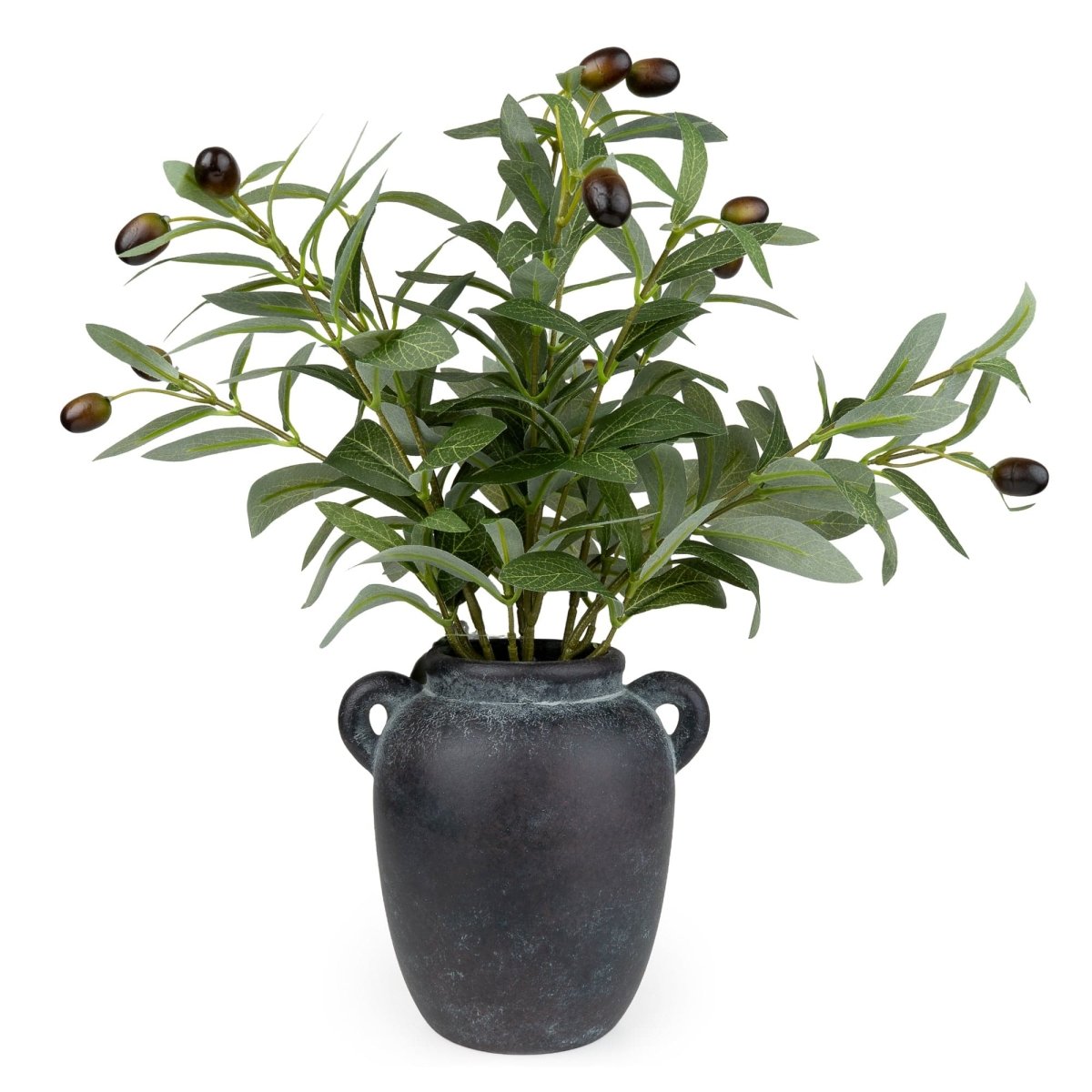 Olive Tree in Paper Mache Pot 40cm - RUTHERFORD & Co