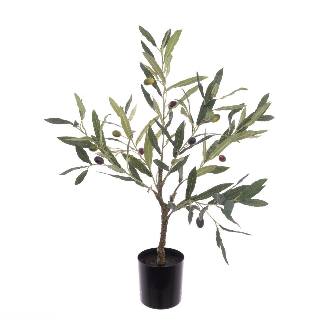 Olive Tree In Pot 60cm/Green - RUTHERFORD & Co
