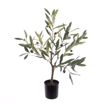 Olive Tree In Pot 60cm/Green - RUTHERFORD & Co