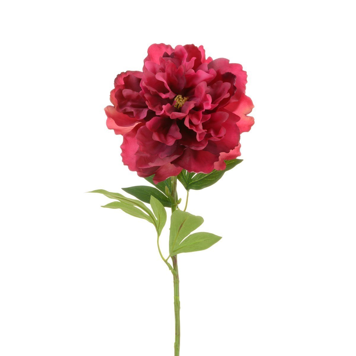 Open Peony Spray 65cm - RUTHERFORD & Co