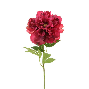 Open Peony Spray 65cm - RUTHERFORD & Co