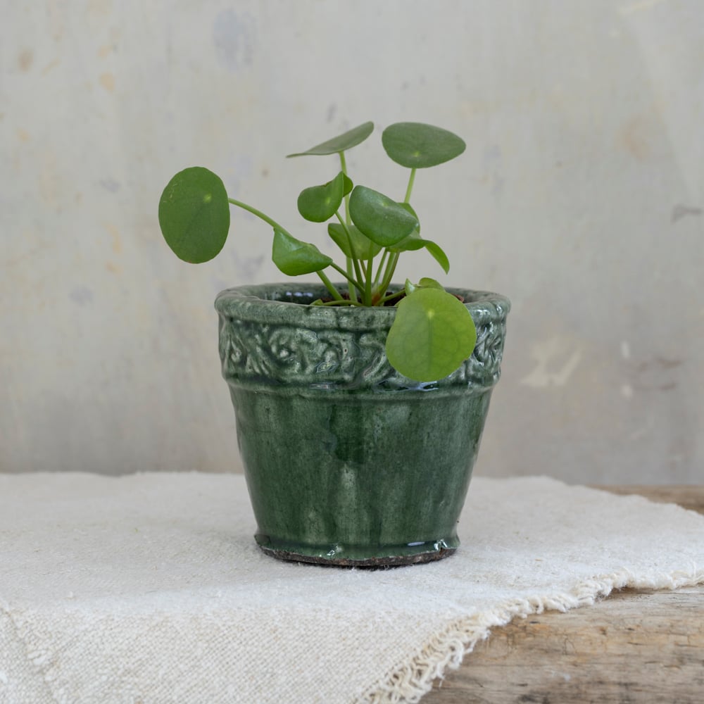 Ornate Planter Green Small - RUTHERFORD & Co