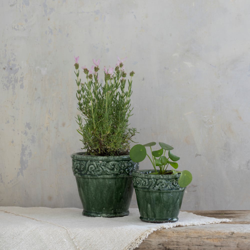 Ornate Planter Green Small - RUTHERFORD & Co