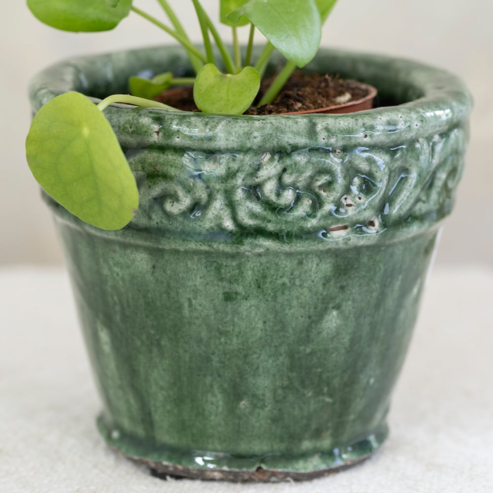 Ornate Planter Green Small - RUTHERFORD & Co