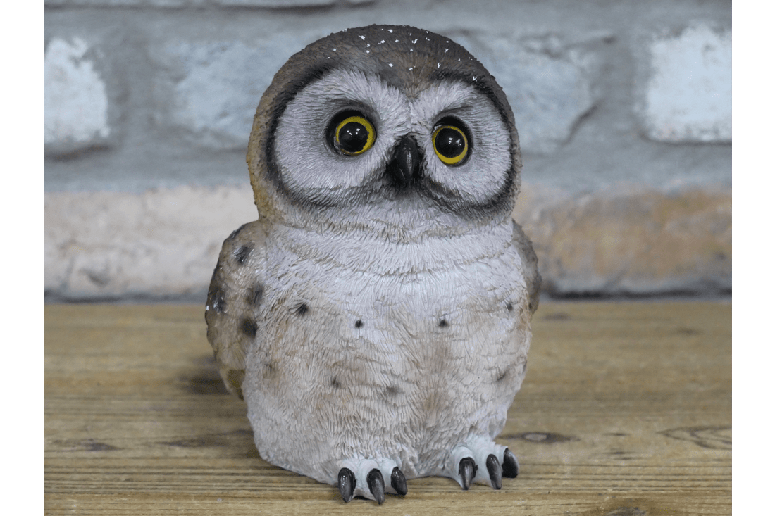 Owl - RUTHERFORD & Co