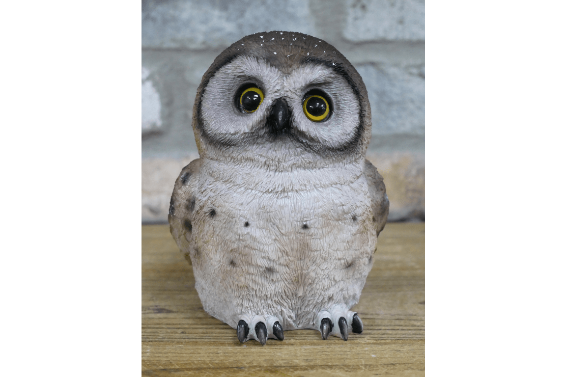 Owl - RUTHERFORD & Co