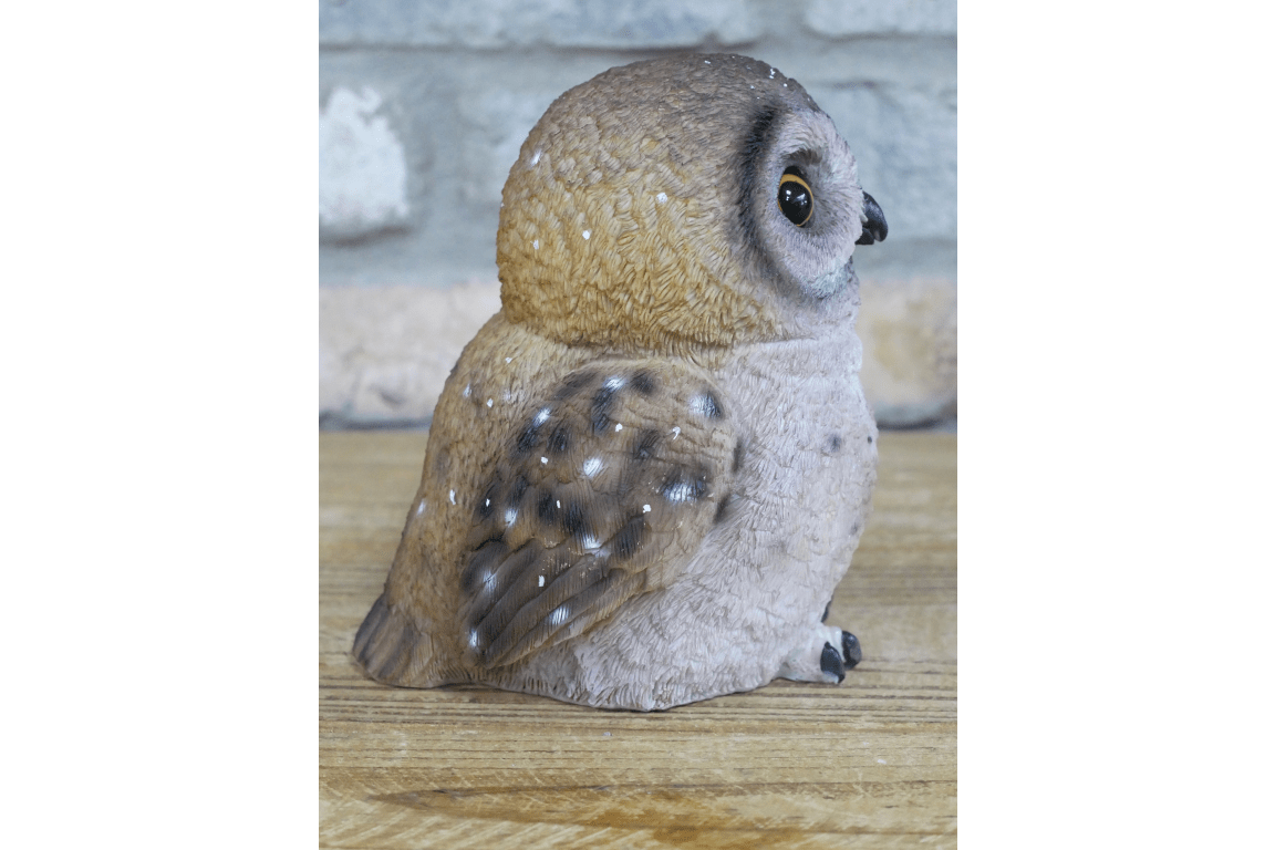 Owl - RUTHERFORD & Co