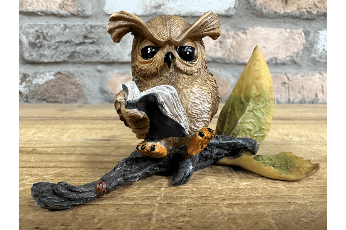 Owl Reading - RUTHERFORD & Co