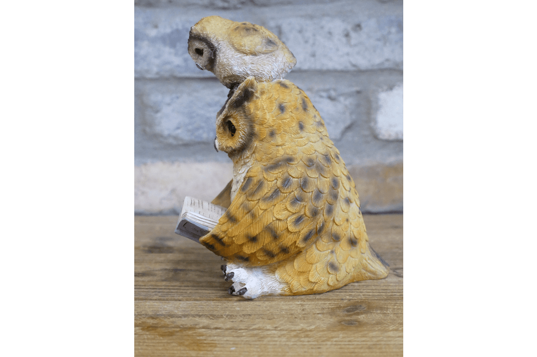 Owl Reading - RUTHERFORD & Co