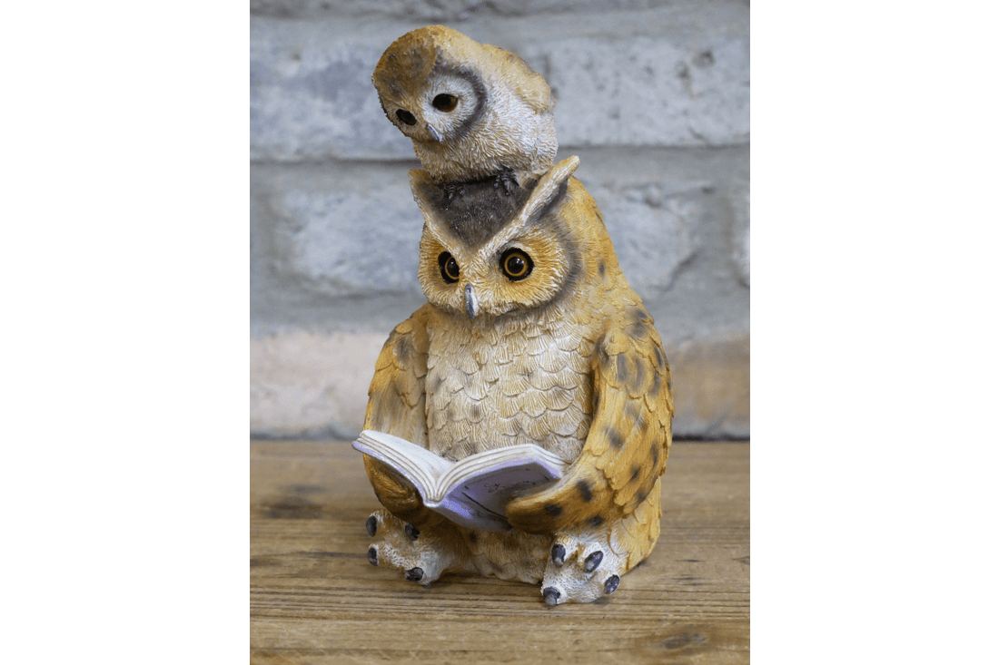 Owl Reading - RUTHERFORD & Co