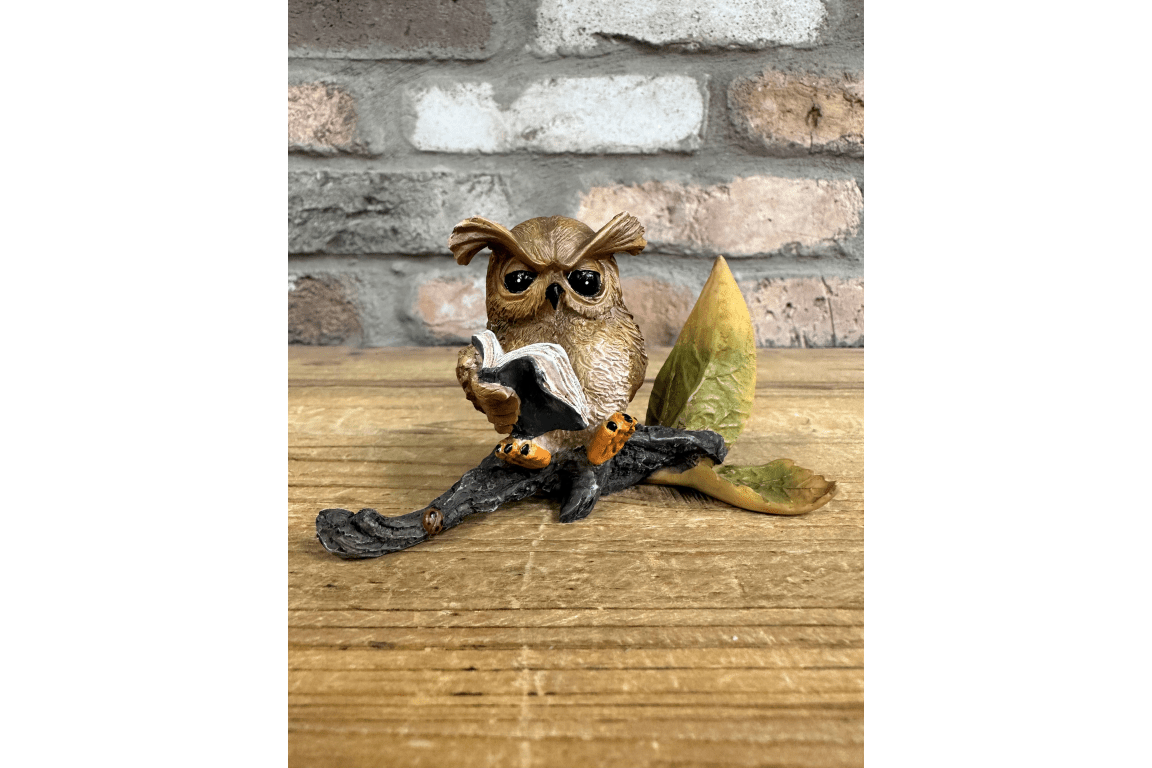 Owl Reading - RUTHERFORD & Co