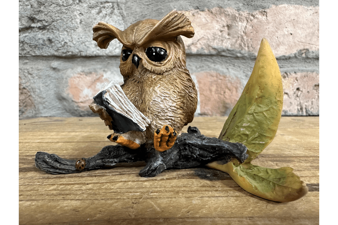 Owl Reading - RUTHERFORD & Co