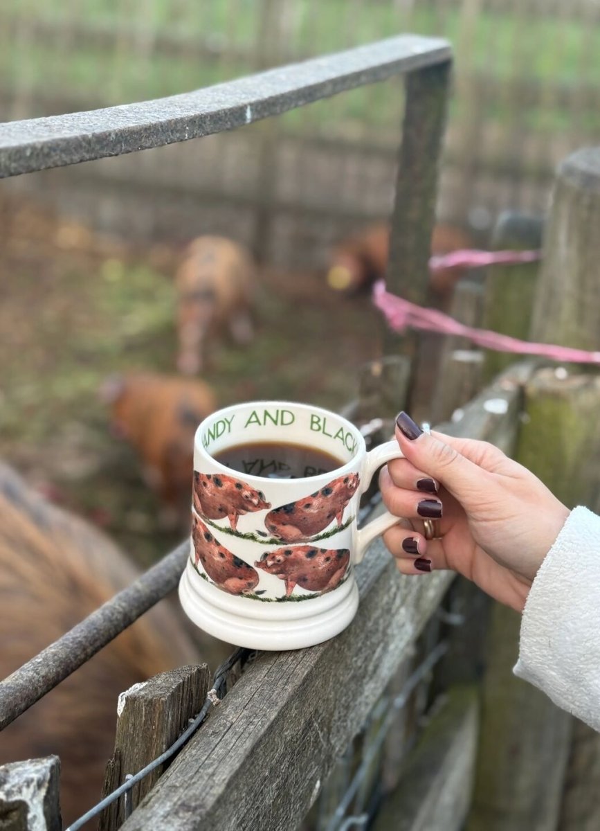 Oxfordshire Sandy & Black Pig 1/2 Pint Mug - RUTHERFORD & Co