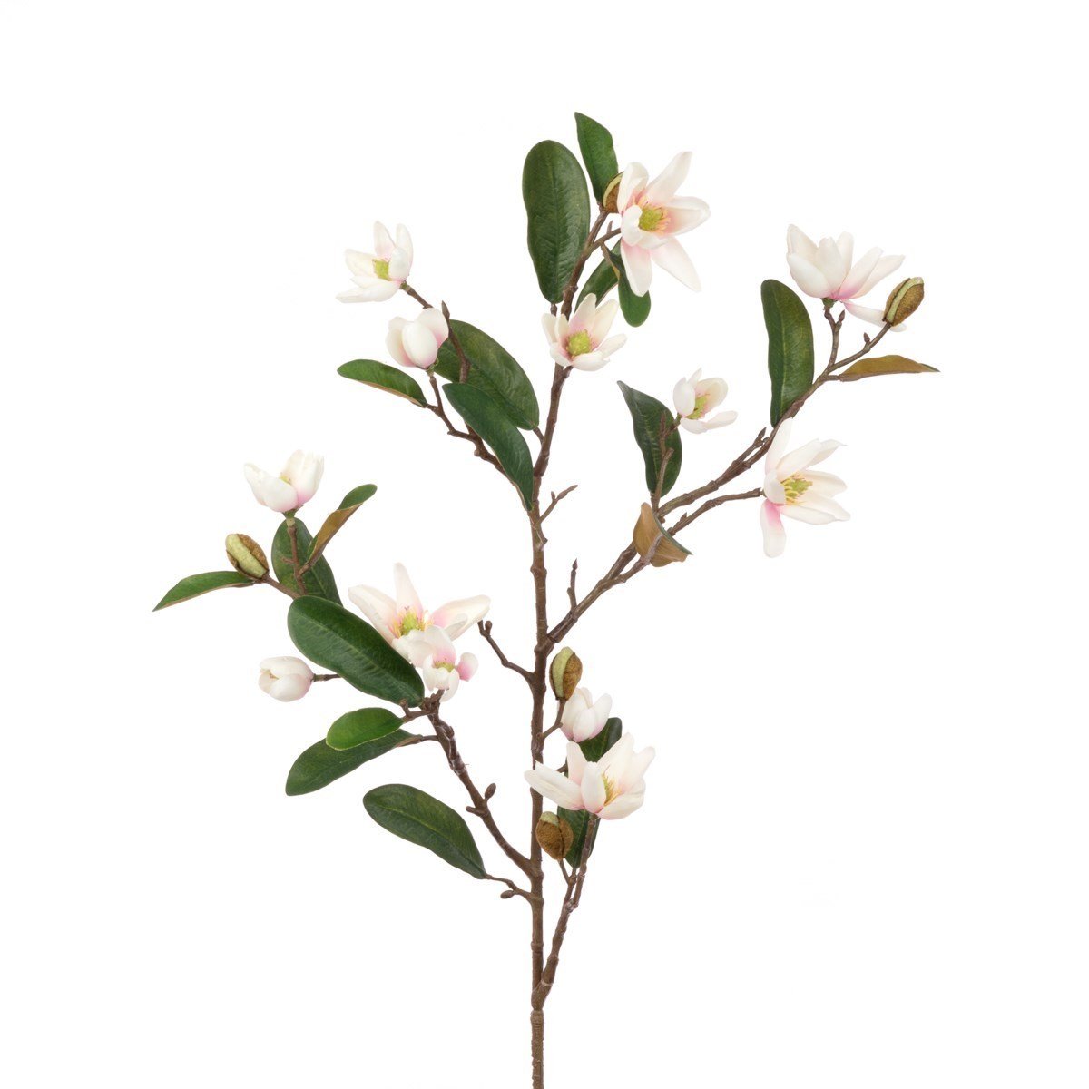 Pearl Magnolia Spray 82cm - RUTHERFORD & Co