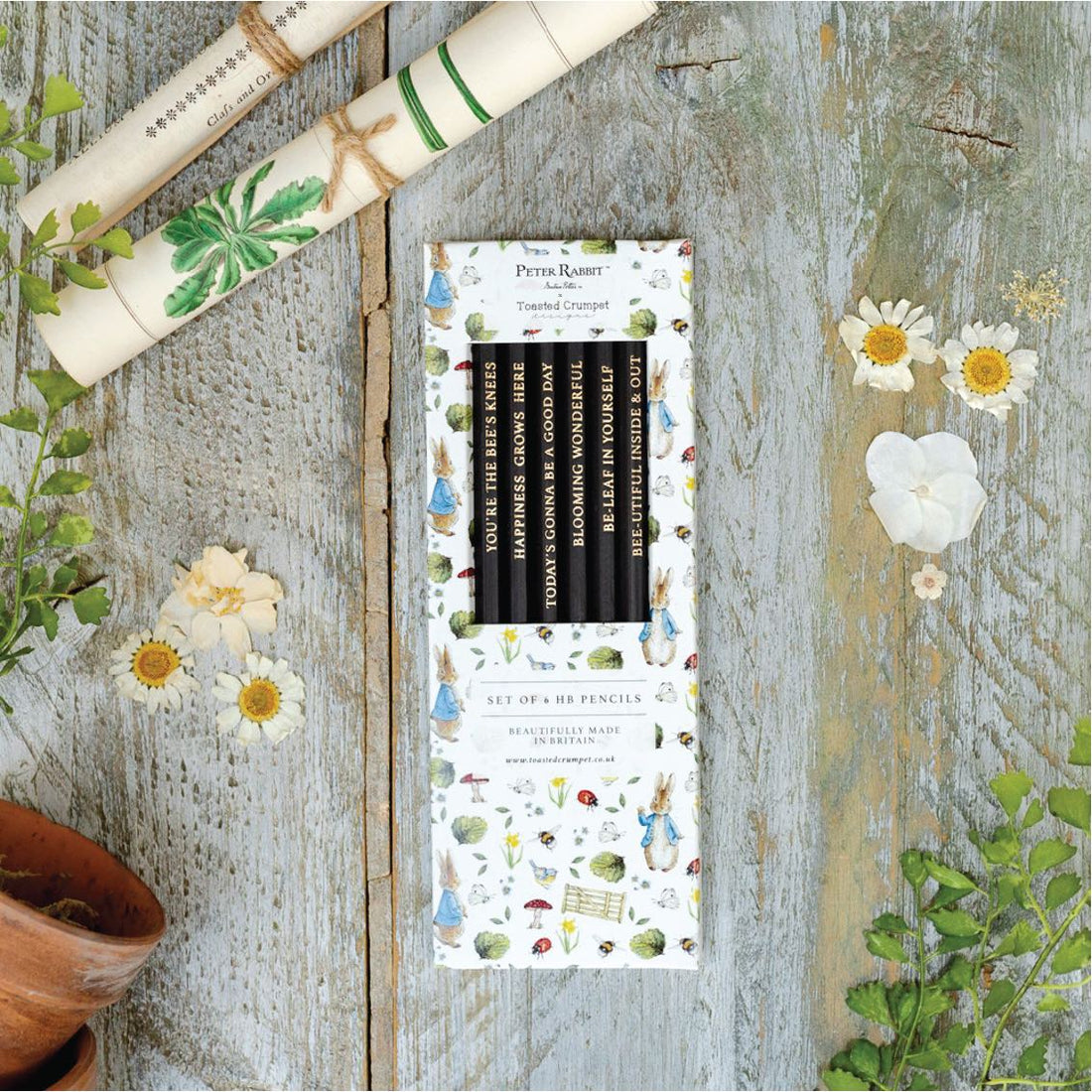 Peter Rabbit “Fresh Meadow Breeze” Set of 6 Pencils - RUTHERFORD & Co