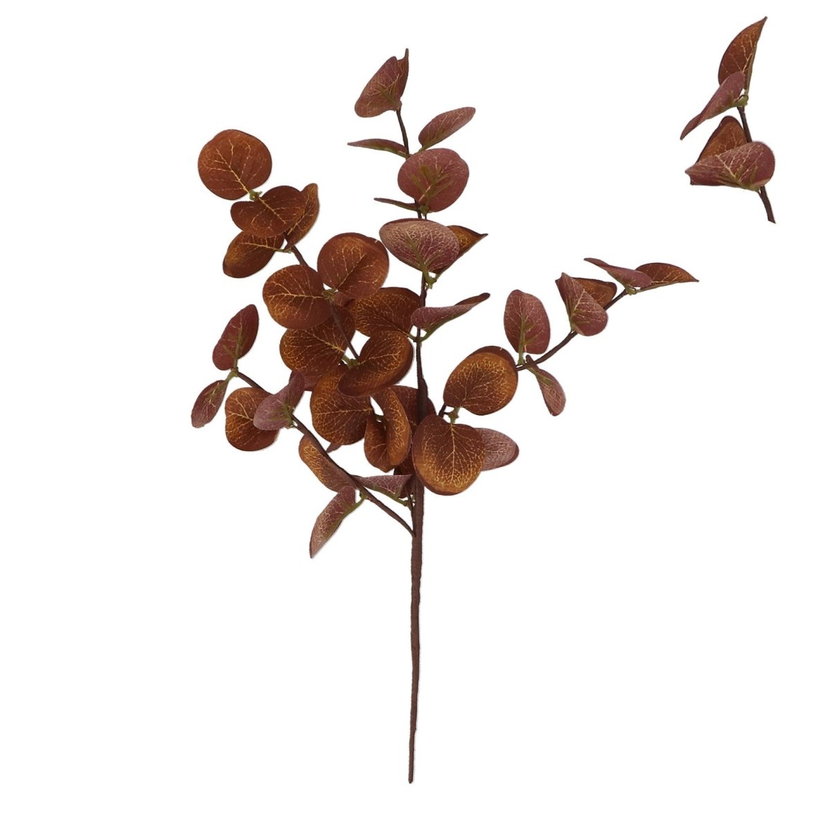 Pick 33cm – Chestnut Eucalyptus - RUTHERFORD & Co