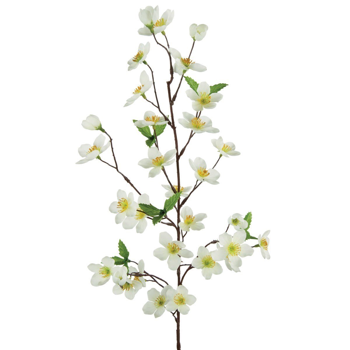 Plum Blossom Spray 81cm/Cream - RUTHERFORD & Co