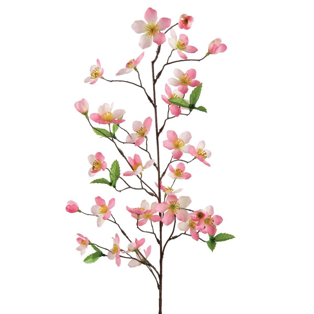 Plum Blossom Spray 81cm/Pink - RUTHERFORD & Co