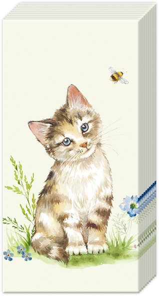 Pocket Tissues Kira Light Green - RUTHERFORD & Co