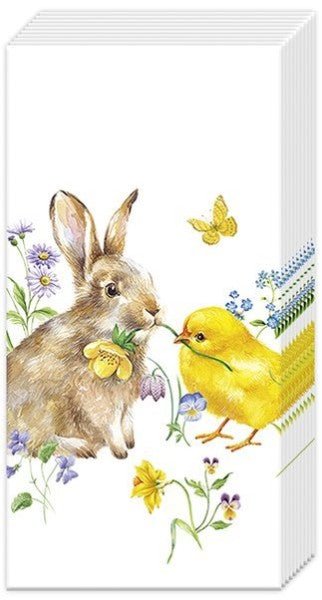 Pocket Tissues/Bunny And Chick - RUTHERFORD & Co