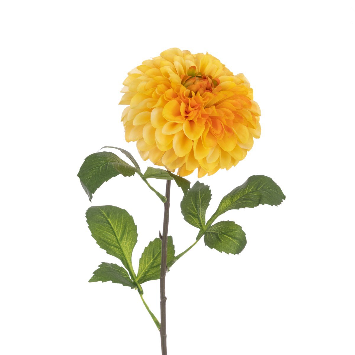 Pom Pom Dahlia Stem 74cm/Yellow - RUTHERFORD & Co