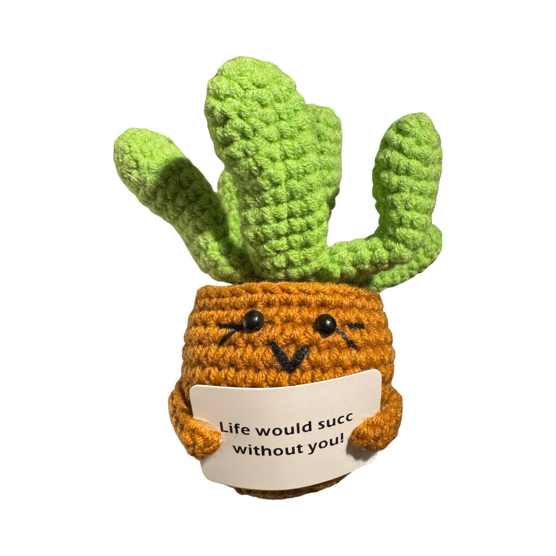 Positive Succulent - RUTHERFORD & Co