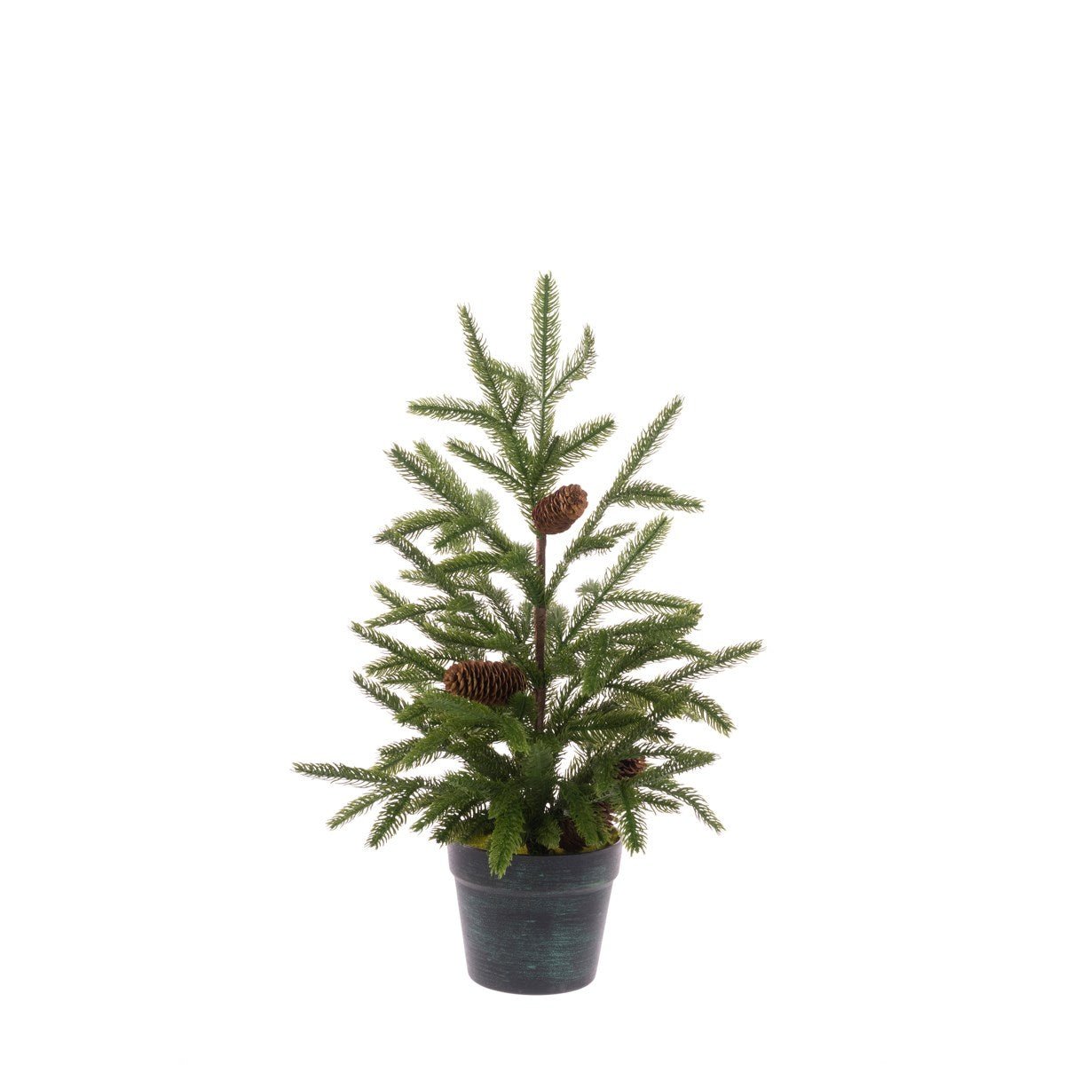 POTTED LUXURY PINE 61CM - RUTHERFORD & Co