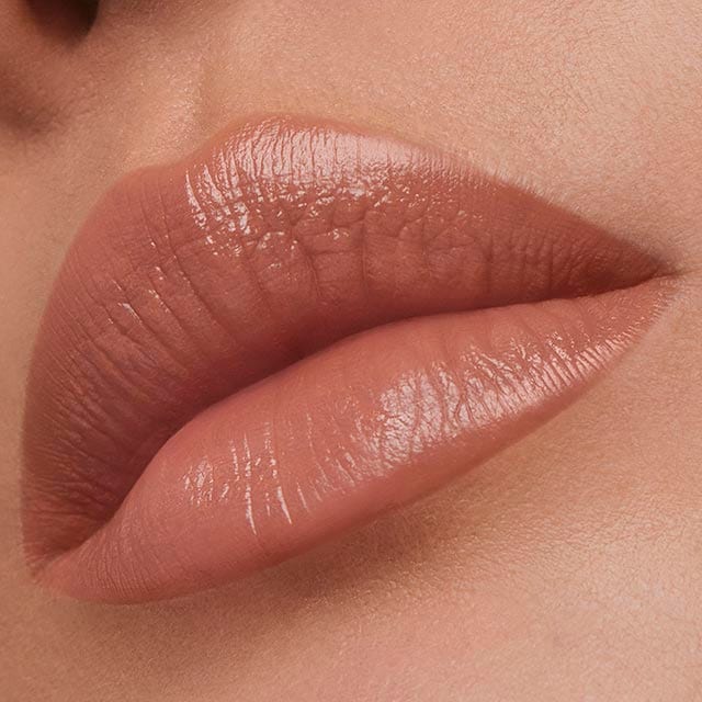 Pure Color Creme Lipstick - RUTHERFORD & Co