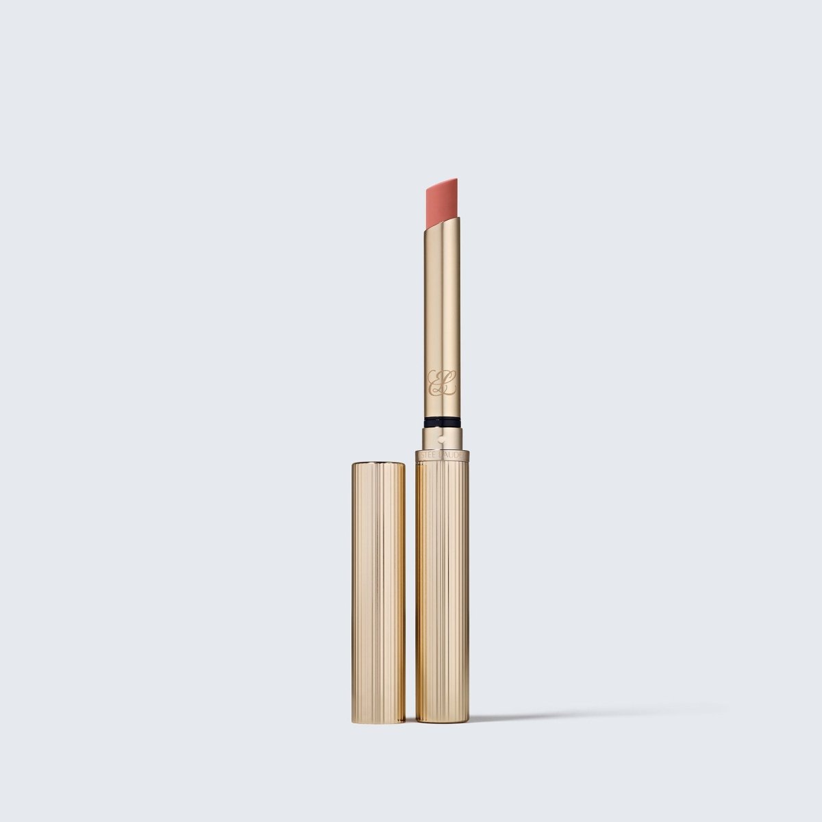 Pure Color Explicit Silk Matte Lipstick - RUTHERFORD & Co