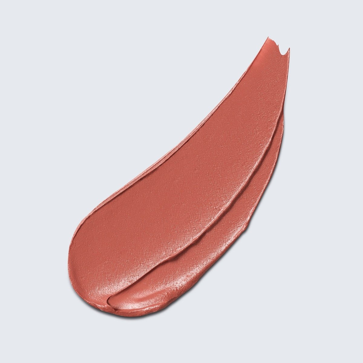 Pure Color Explicit Silk Matte Lipstick - RUTHERFORD & Co