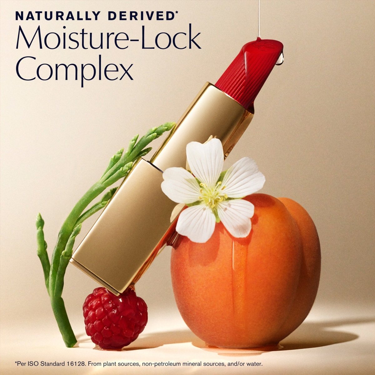 Pure Color Matte Lipstick - RUTHERFORD & Co