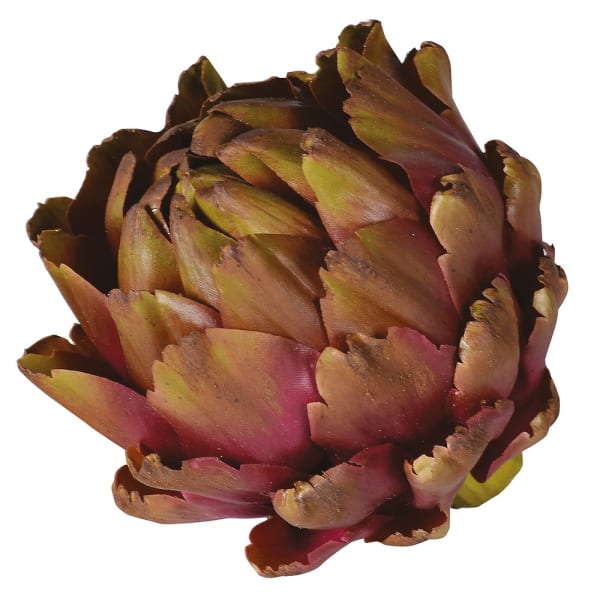 Purple and Green Artichoke Head - RUTHERFORD & Co