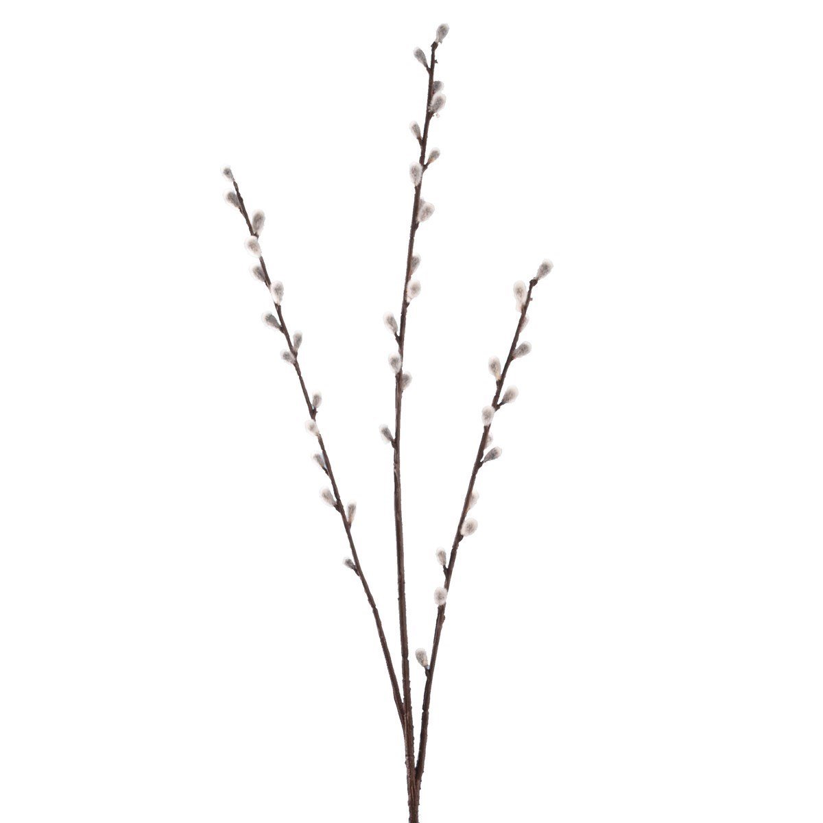 Pussy Willow x 3 45F 84cm - RUTHERFORD & Co
